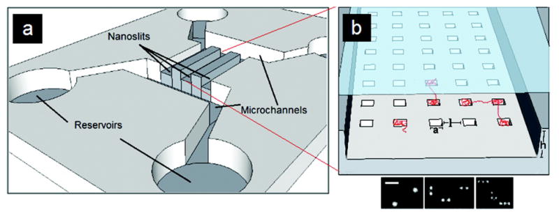 Figure 64