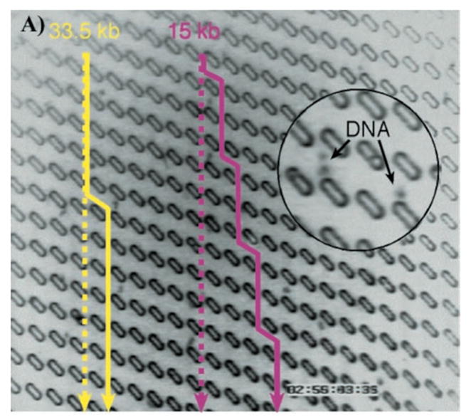 Figure 52