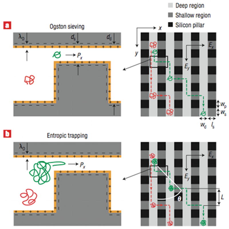 Figure 51