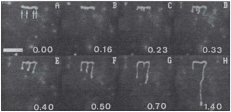 Figure 23