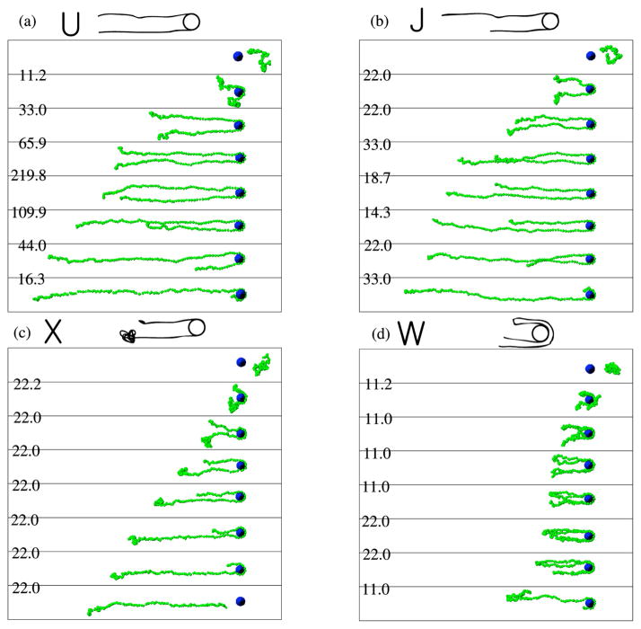 Figure 28