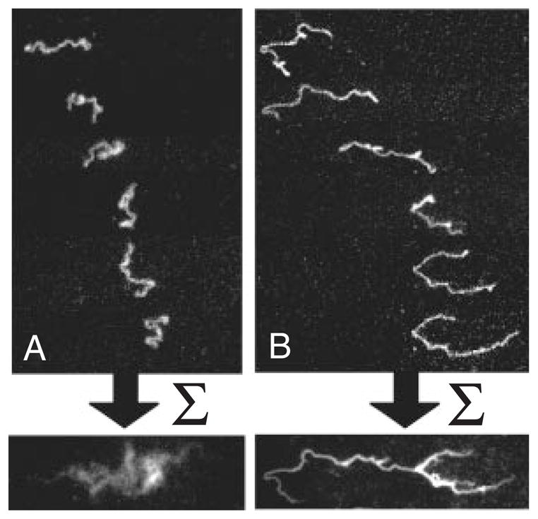 Figure 48