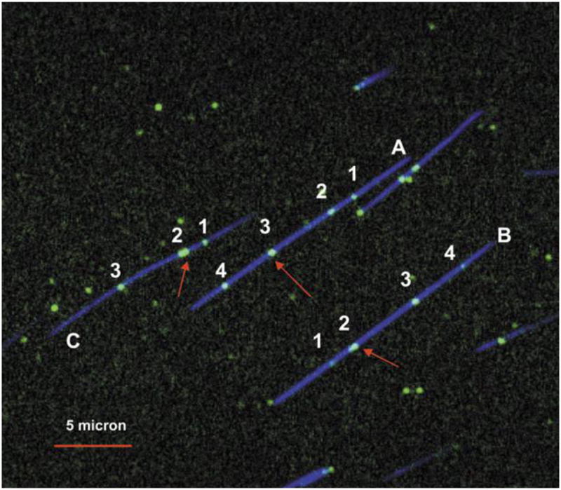 Figure 9