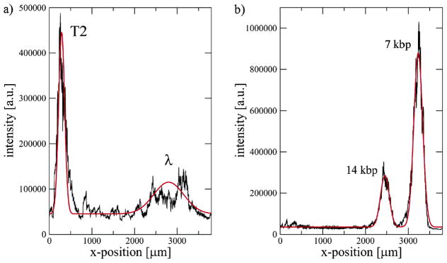 Figure 42