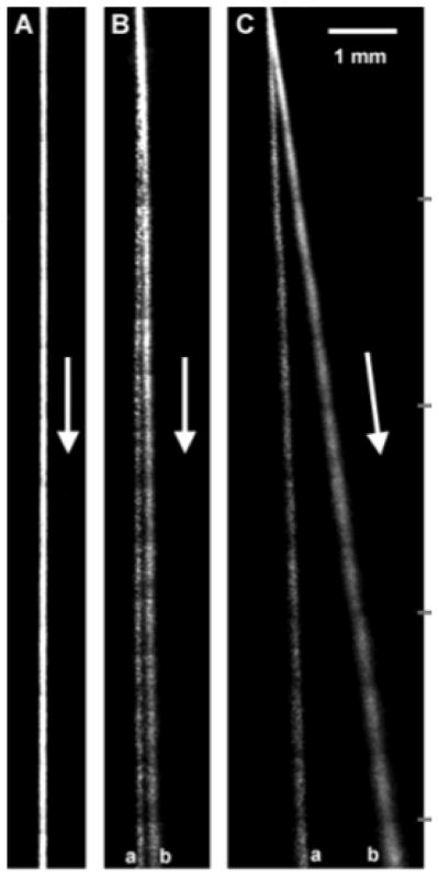 Figure 49