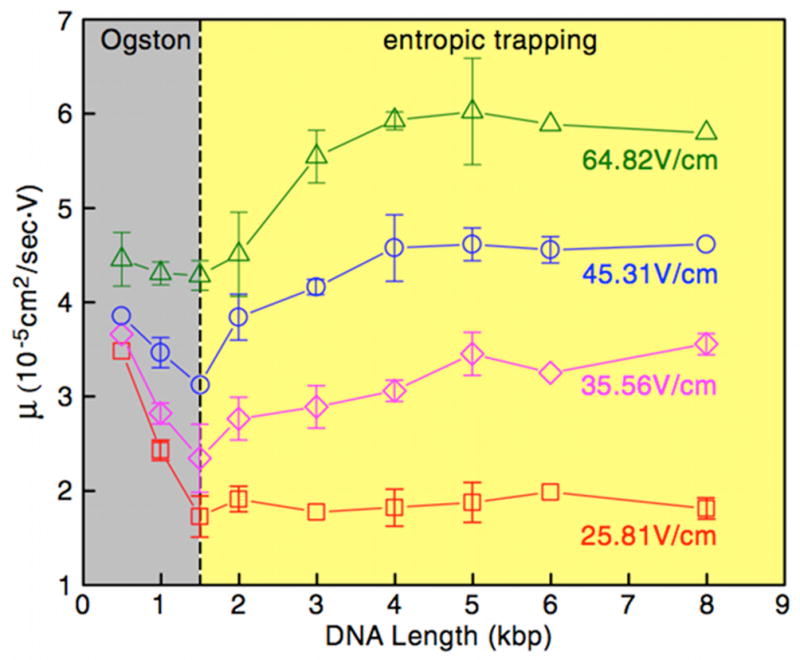 Figure 34