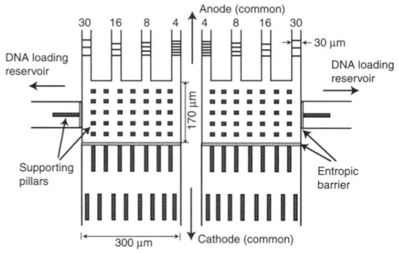 Figure 33