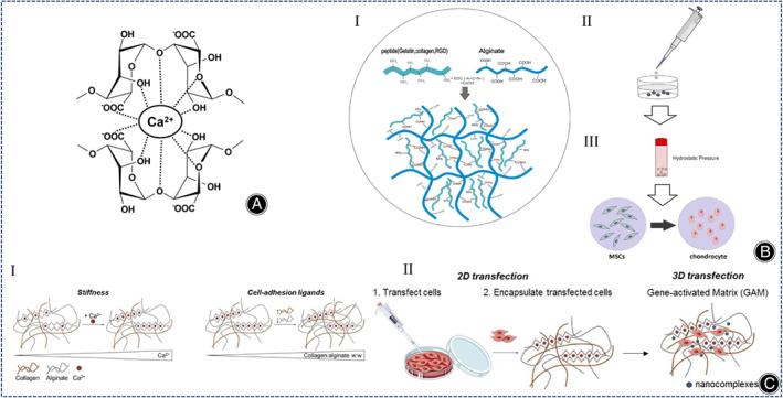 Fig. 11