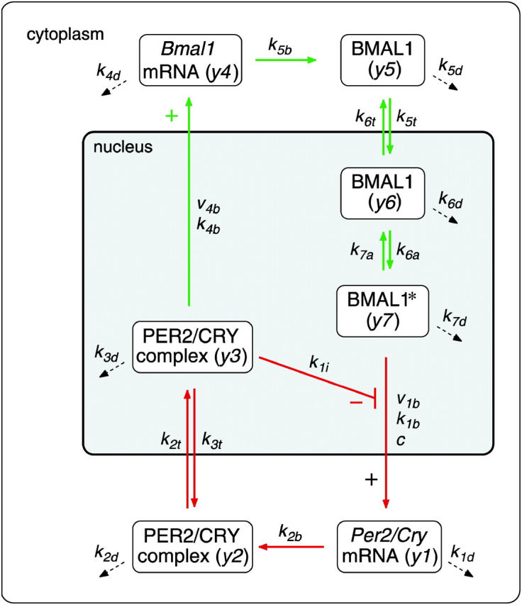 FIGURE 2