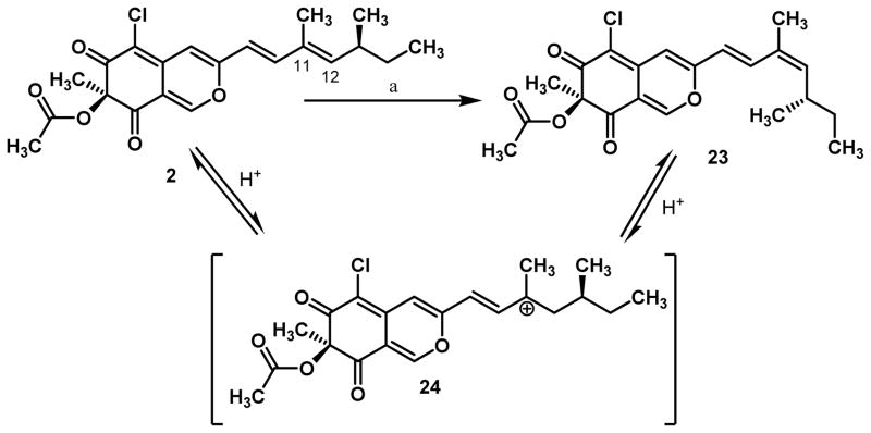 Scheme 4