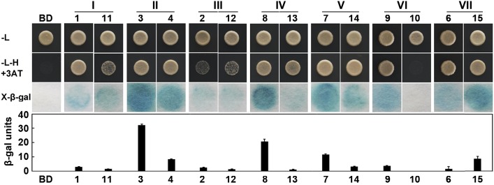 Figure 5.