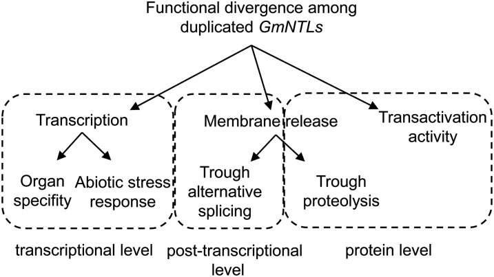 Figure 9.