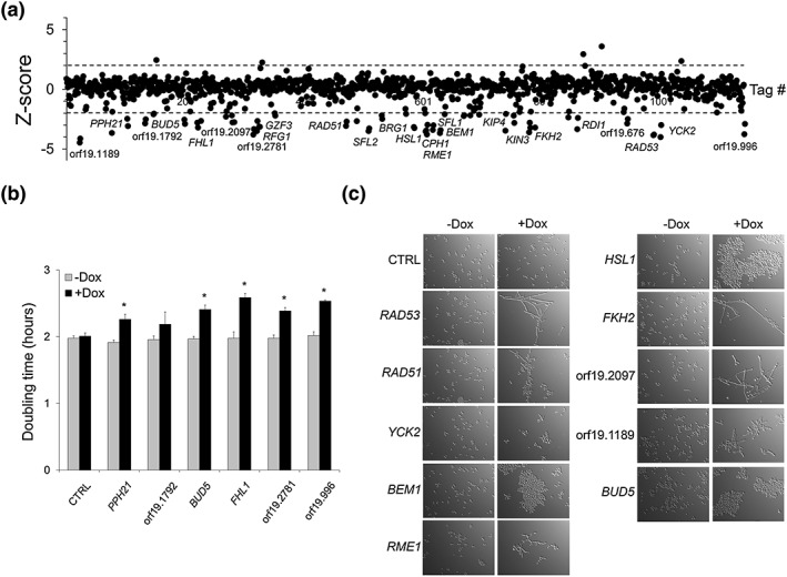 Figure 2