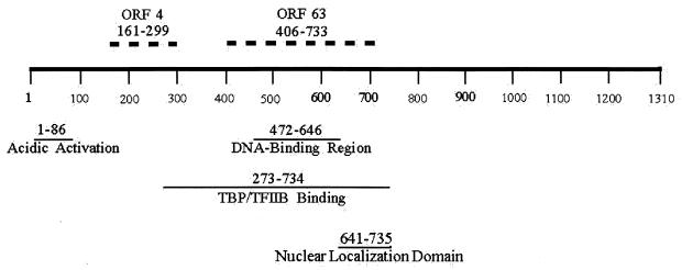 FIG. 6