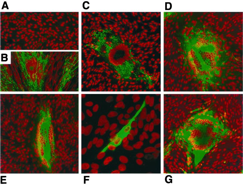 FIG. 10