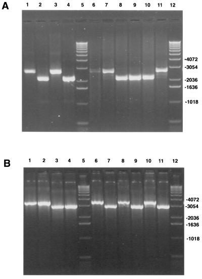 FIG. 8