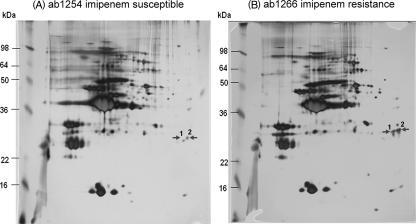 FIG. 2.