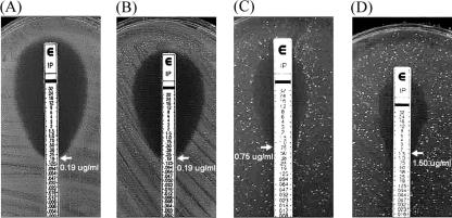 FIG. 6.