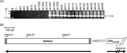 FIG. 5.