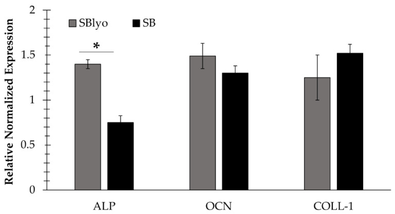 Figure 7