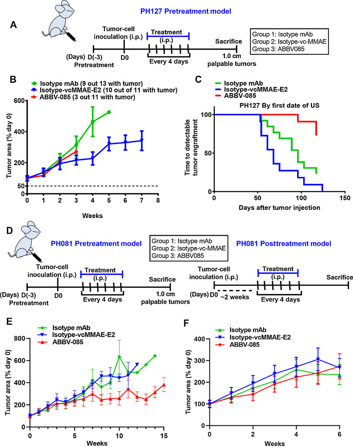 Figure 8. Therapeutic efficacy of ABBV-085 in the PH127 and PH081 ovarian cancer PDX xenograft model. A, Schematic representation of the early metastatic model of PH127 PDX xenograft. B, Percent change in tumor area in PH127 PDX early metastatic model following treatments with ABBV-085 and control drugs as determined by ultrasound weekly. C, Graphical analysis of the time required for the detectable tumor engraftment in each mouse from the three treatment cohorts. D, Schematic representation of PH081 PDX in the pre- and posttreatment models. E and F, Percent change in tumor area in the PH081 PDX early metastatic model (E) and in the late metastatic model (F) following treatments with the drugs as determined by ultrasound weekly.