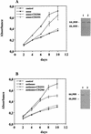 FIG. 10