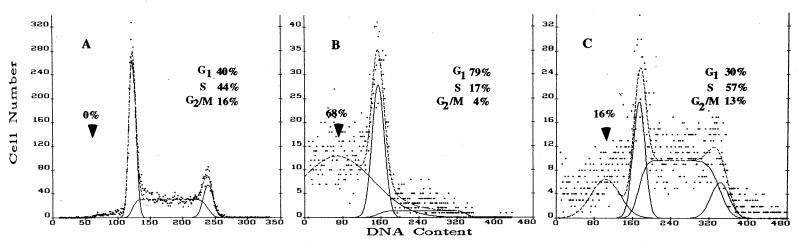 FIG. 11