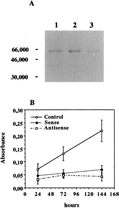 FIG. 6