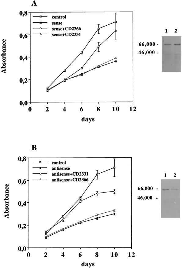 FIG. 10