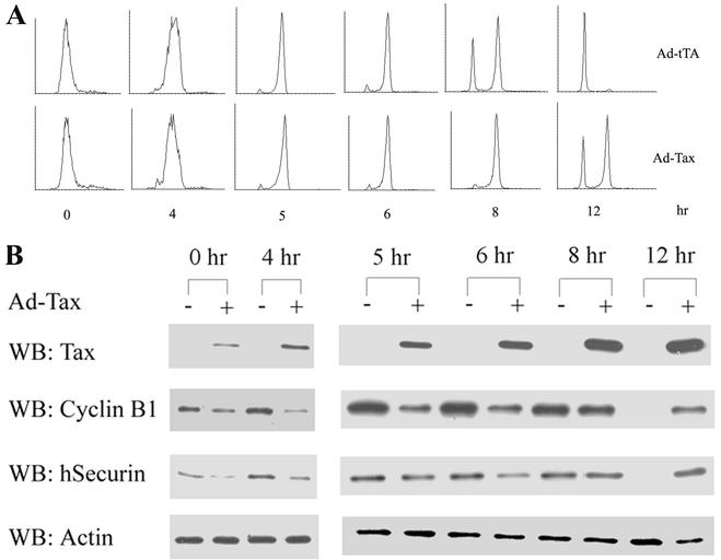 FIG. 6.