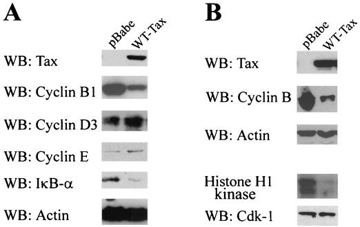 FIG. 5.