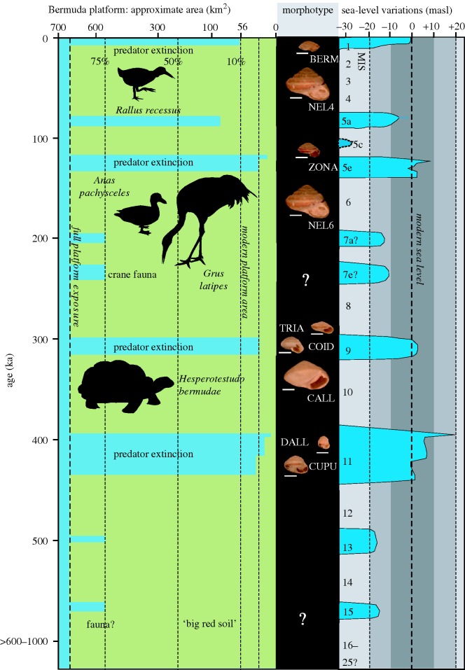 Figure 1.