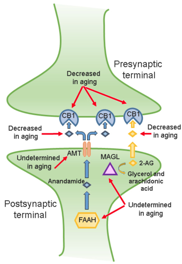 Fig. (1)