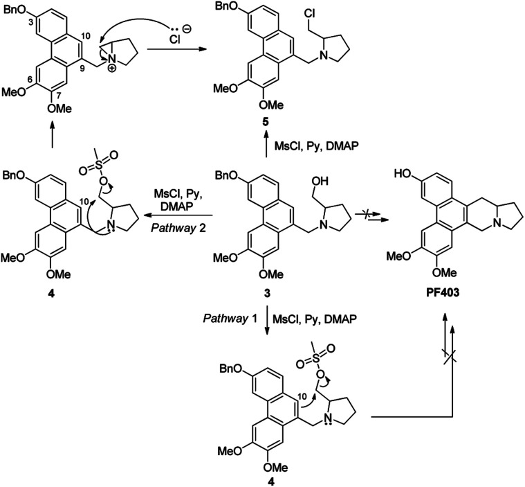 Scheme 3