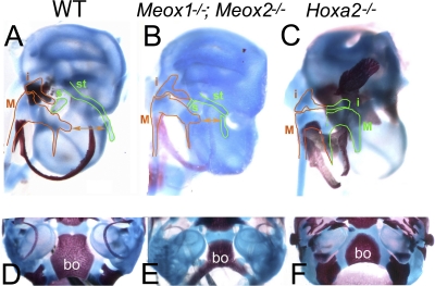 FIG. 4.