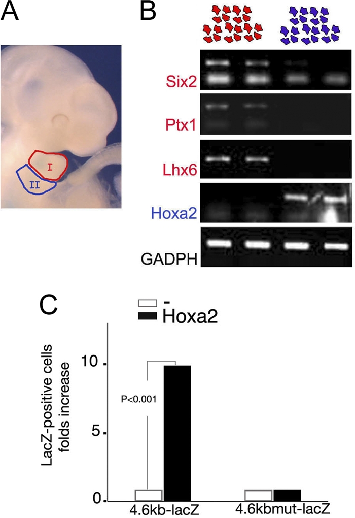 FIG. 3.