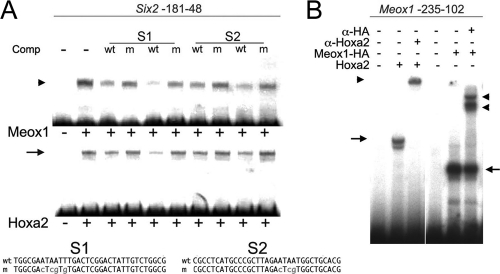 FIG. 6.