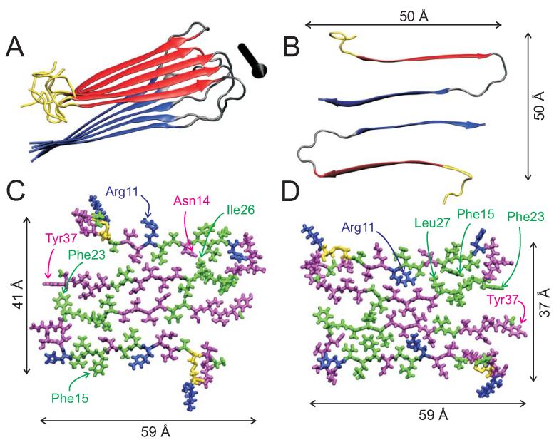 Figure 11