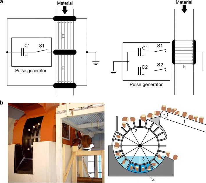 Fig. 6