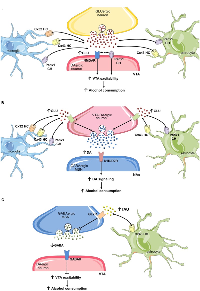 FIGURE 3