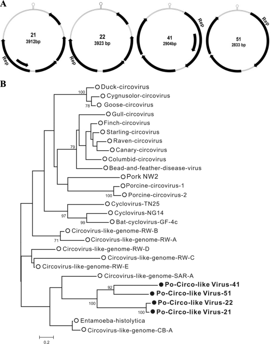 Fig. 4.