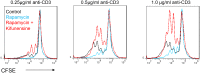 Figure 5—figure supplement 1.