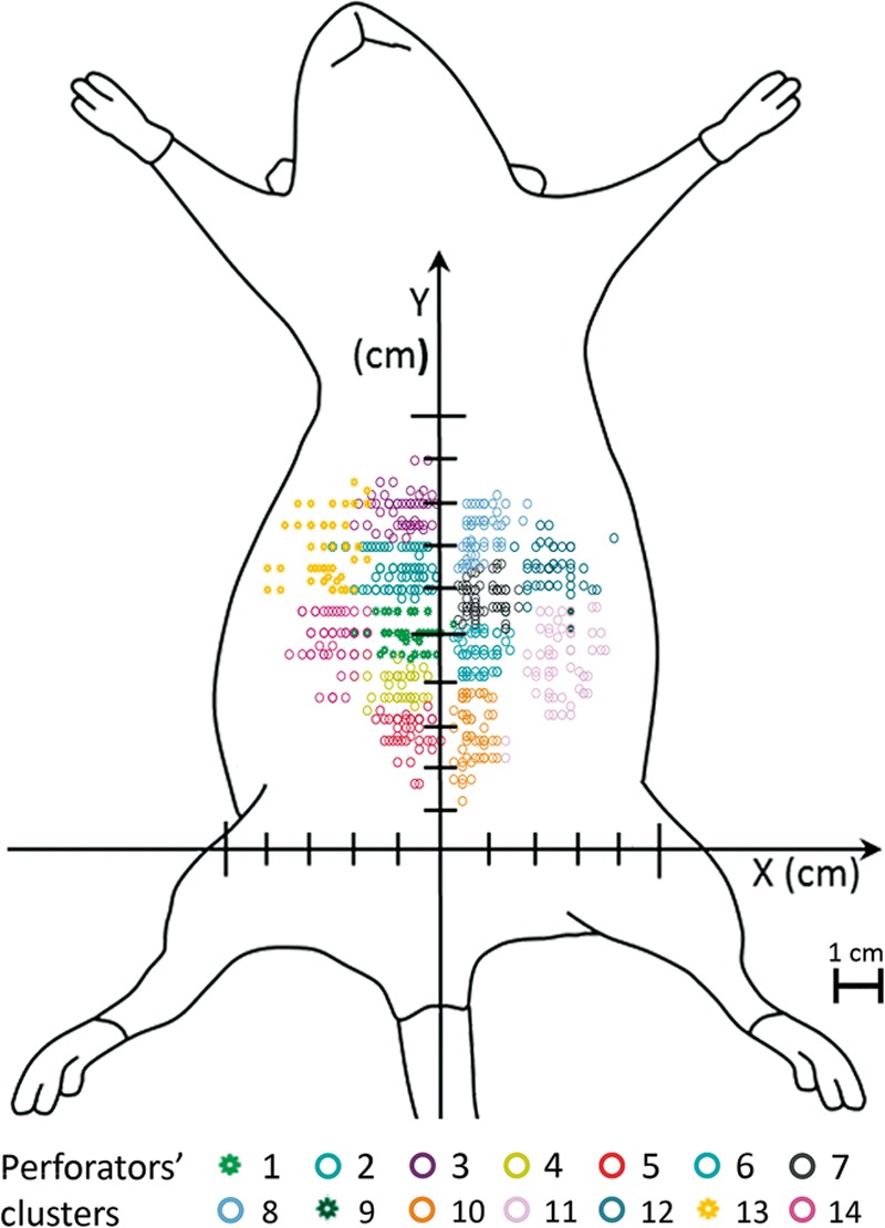 Fig. 7.