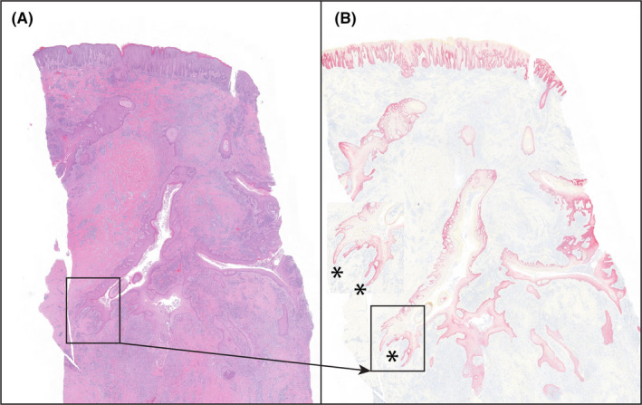 FIGURE 3