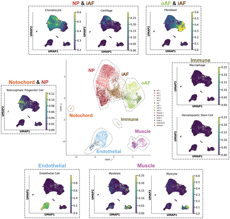 Figure 3: