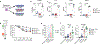 Extended Data Fig. 6