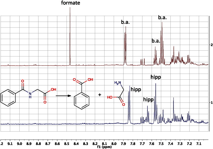 Fig. 16