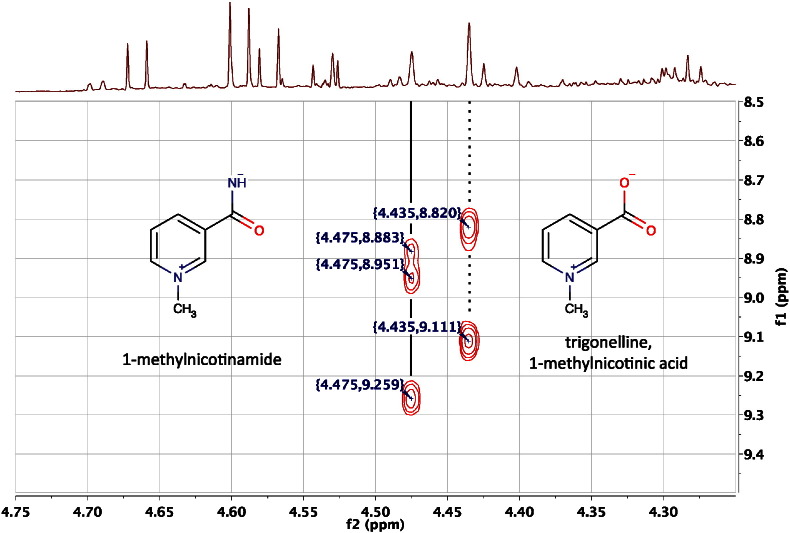 Fig. 10