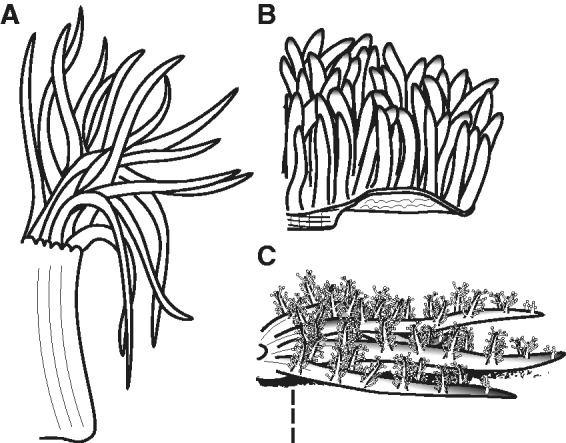 Fig. 1.—