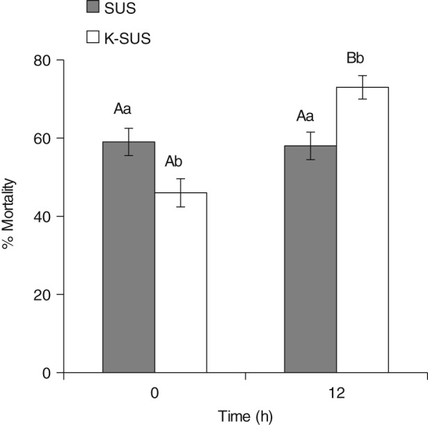 PS-4175-FIG-0004-b